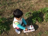 遊び中